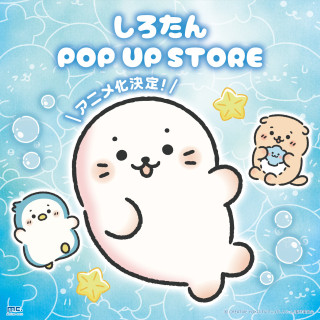 しろたんPOP UP STORE